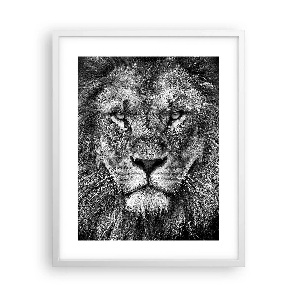 Poster in einem weißen Rahmen - Im Krönungsgewand - 40x50 cm