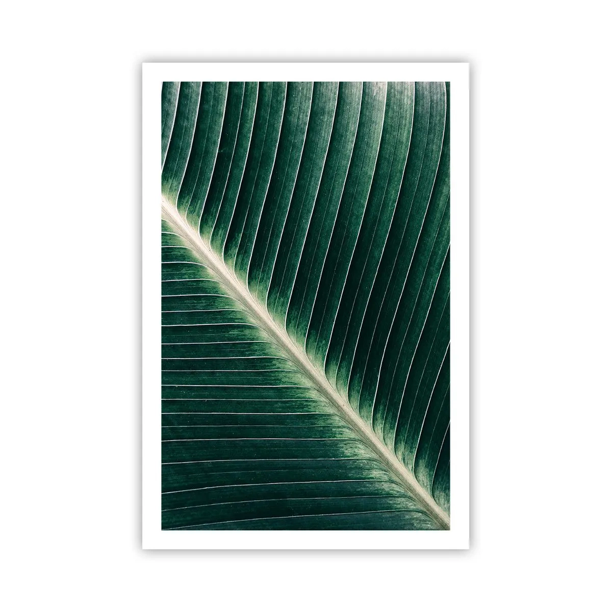 Poster - Rhythmus der Natur - 61x91 cm