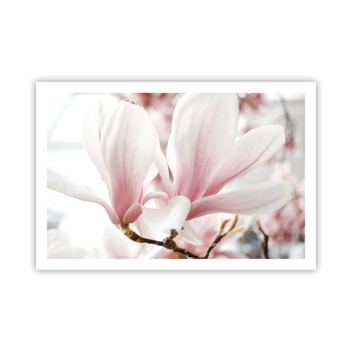 Poster - Eine Fülle von Zärtlichkeit - 91x61 cm