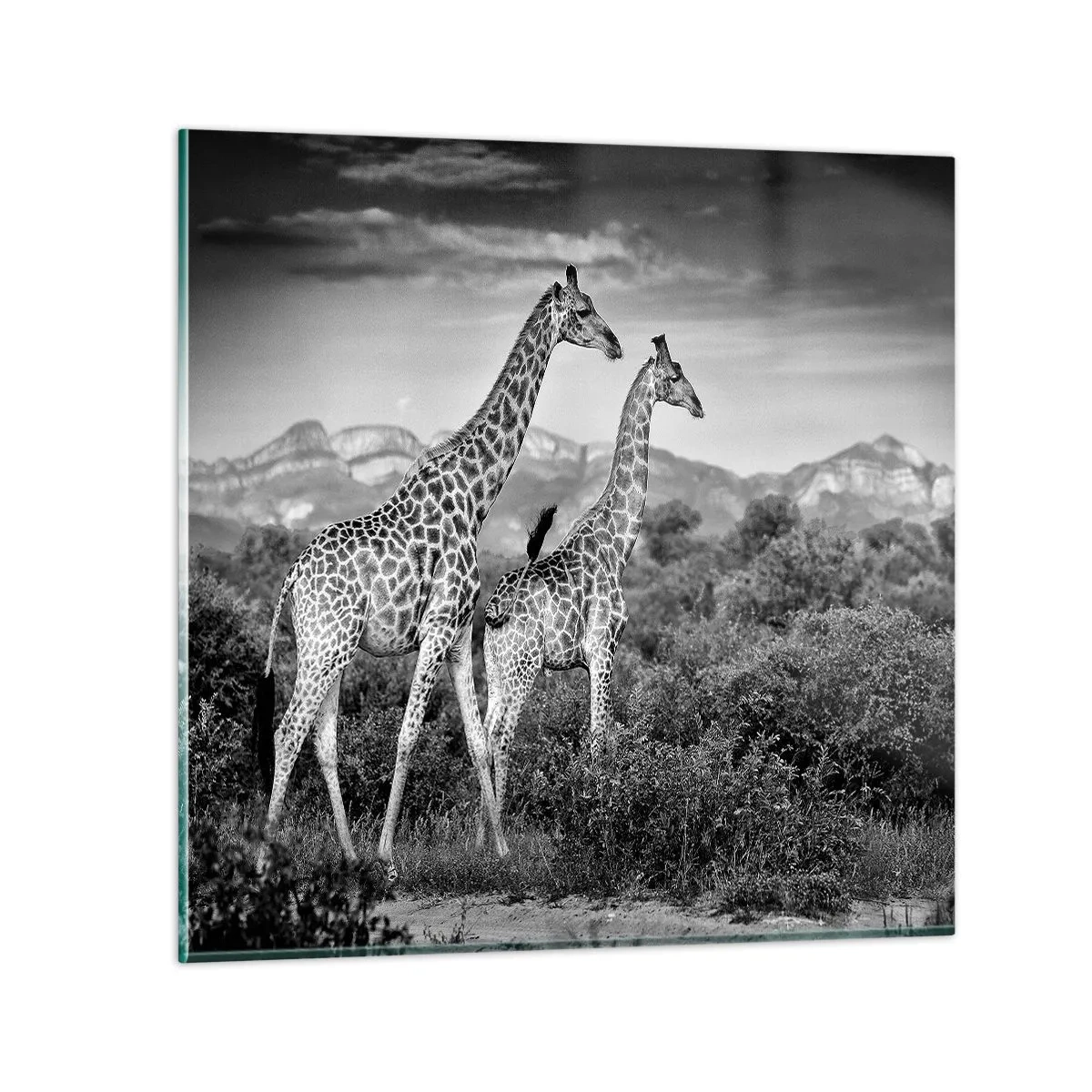 Glasbild - Bild auf glas - Hohe Sphären in Afrika - 70x70 cm