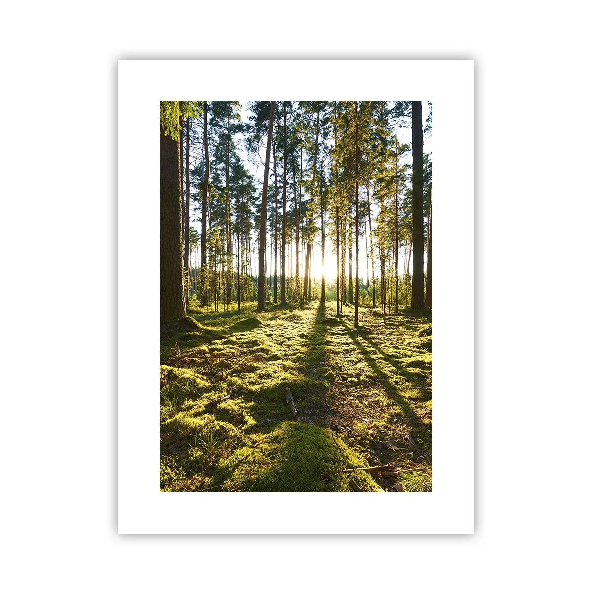 Poster - … Hinter den sieben Wäldern - 30x40 cm