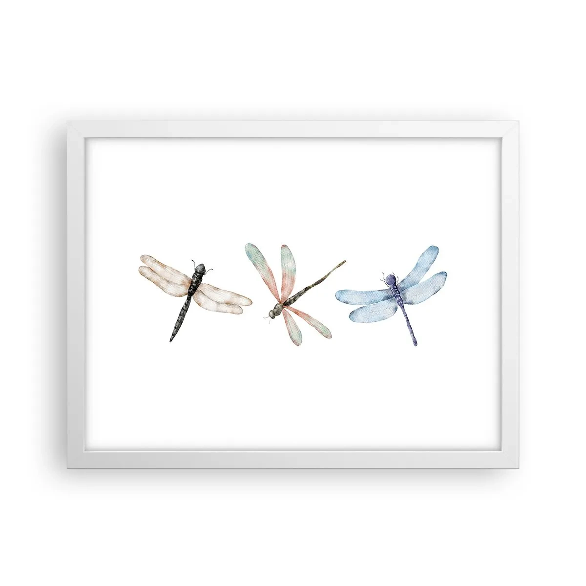 Poster in einem weißen Rahmen - Schwerelose Libellen - 40x30 cm
