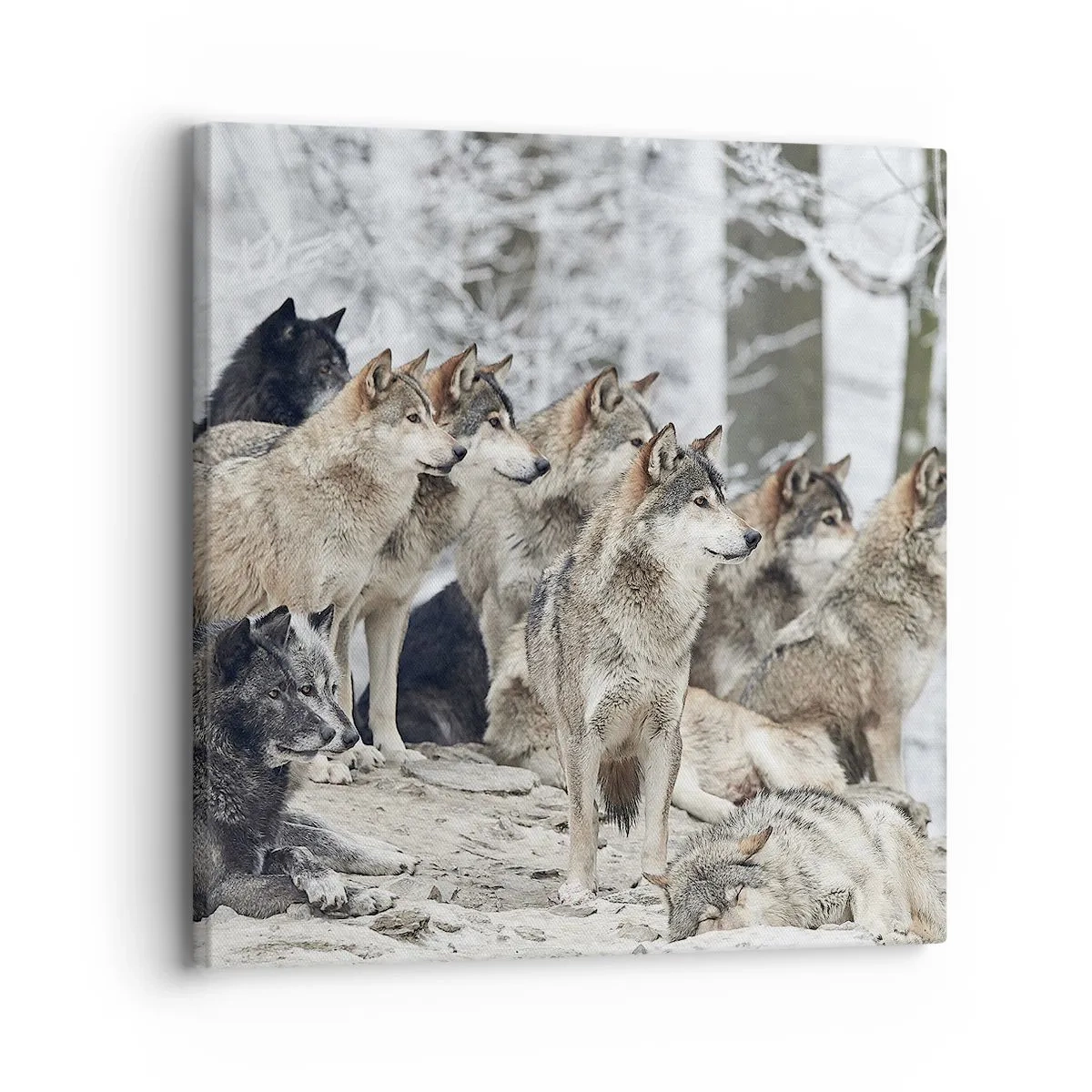 Bild auf Leinwand - Leinwandbild - Familie und Freunde - 30x30 cm