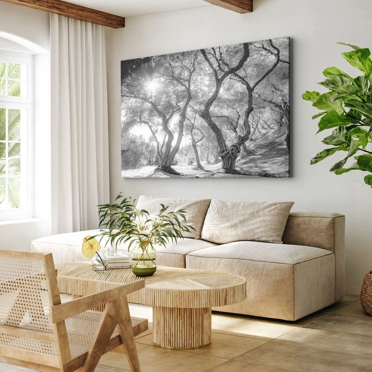 Bild auf Leinwand - Leinwandbild - Schwarz-Weiß-Ansicht von Bäumen in einem Olivenhain mit Sonnenstrahlen - 100x70cm - Im Olivenhain - Moderne Wanddekoration für Wohnzimmer und Schlafzimmer ARTTOR