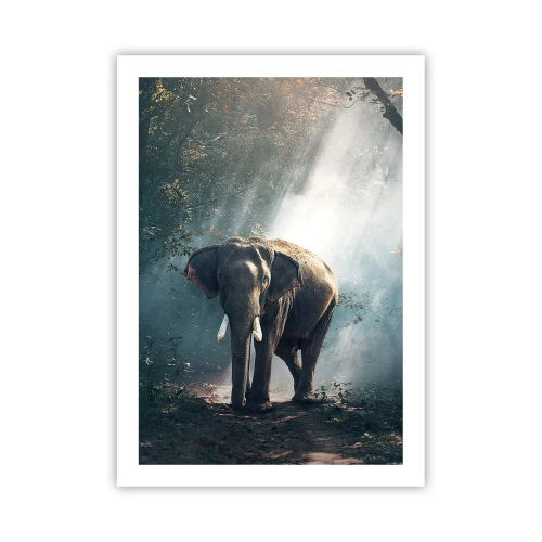 Poster - Ein Elefant sonnt sich in einem dichten Wald - 50x70cm - Ein gemütlicher Spaziergang - Moderne Wanddekoration für Wohnzimmer und Schlafzimmer ARTTOR