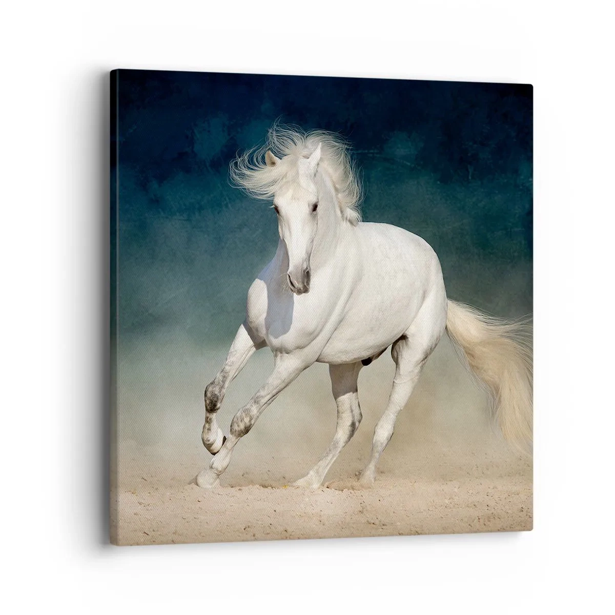 Bild auf Leinwand - Leinwandbild - Freiheit in ihrem reinen Zustand - 40x40 cm