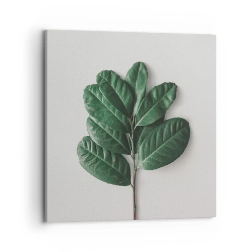 Bild auf Leinwand - Leinwandbild - Eine Zeichnung purer Natur - 70x70 cm