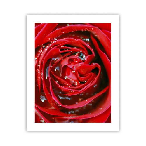 Poster - In den Tautropfen - 40x50 cm