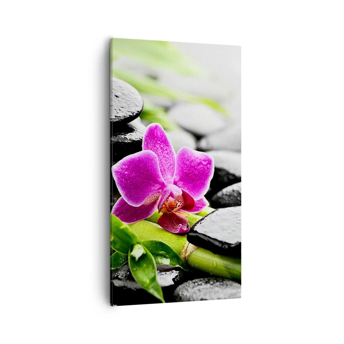 Bild auf Leinwand - Leinwandbild - In ruhiger Balance - 55x100 cm