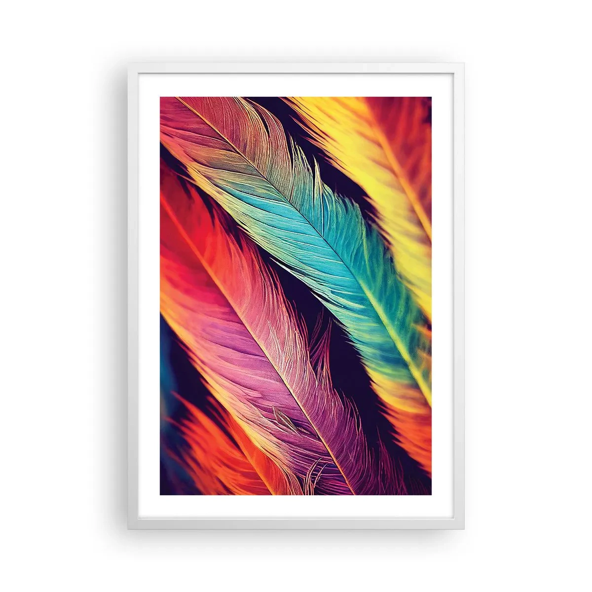 Poster in einem weißen Rahmen - Gefiederter Regenbogen - 50x70 cm