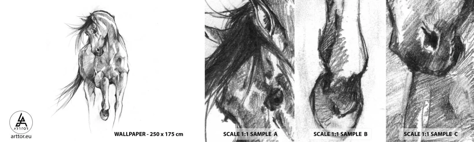 Fototapetenmuster Standard Eco - Im anmutigen Trab - Pferd, Grafik, Tiere - 100x30 cm