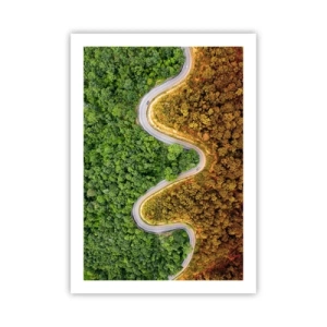 Poster - Eine Straße, die sich durch einen Wald schlängelt, der in grüne und herbstliche Teile unterteilt ist - 50x70cm - Grenzen und Durchbrüche - Moderne Wanddekoration für Wohnzimmer und Schlafzimmer ARTTOR