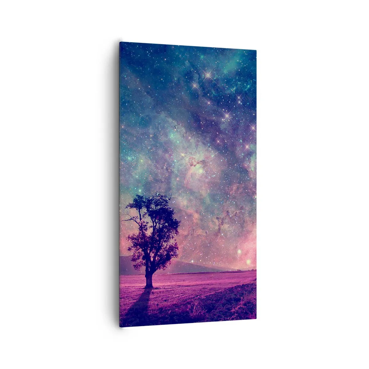 Bild auf Leinwand - Leinwandbild - Unter dem magischen Himmel - 65x120 cm