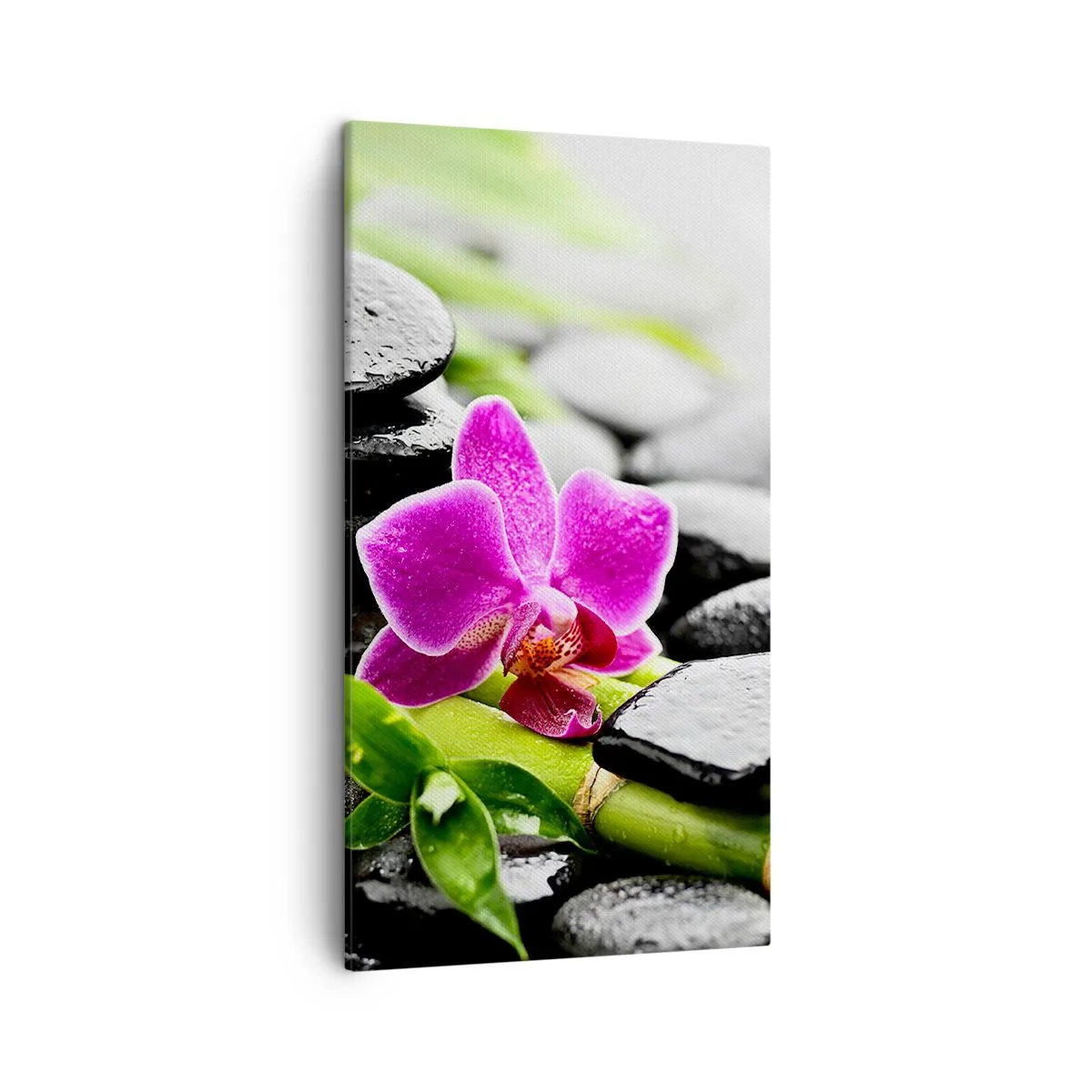Bild auf Leinwand - Leinwandbild - In ruhiger Balance - 45x80 cm