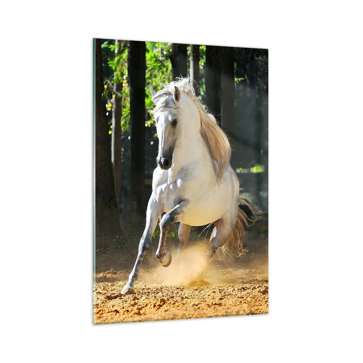 Glasbild - Bild auf glas - Ein weißes Pferd galoppiert durch eine Waldlichtung - 80x120cm - Wie aus einem Fantasy-Roman - Moderne Wanddekoration für Wohnzimmer und Schlafzimmer ARTTOR