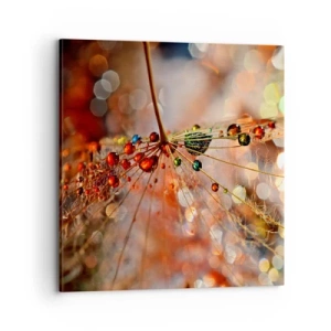 Bild auf Leinwand - Leinwandbild - Auf einem Spinnenfaden aufgefädelt - 70x70 cm