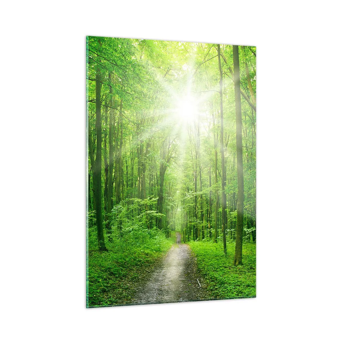 Glasbild - Bild auf glas - Ein von den Sonnenstrahlen beleuchteter Waldweg - 50x70cm - Die grüne Kathedrale - Moderne Wanddekoration für Wohnzimmer und Schlafzimmer ARTTOR