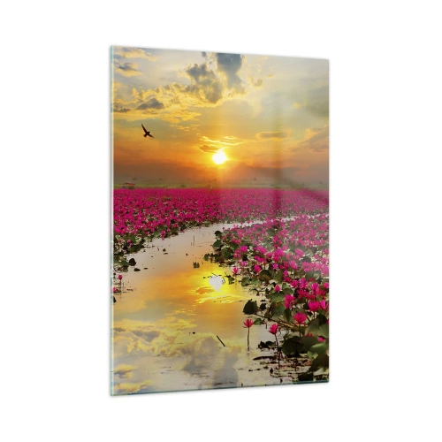 Glasbild - Bild auf glas - Rosa Seerosen auf einem See bei Sonnenuntergang - 50x70cm - Das geheime Leben des Sees - Moderne Wanddekoration für Wohnzimmer und Schlafzimmer ARTTOR