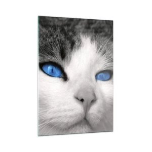 Glasbild - Bild auf glas - Ein Schwarzweißfoto einer Katze mit intensiv blauen Augen. - 50x70cm - Ungewöhnlich blauäugig - Moderne Wanddekoration für Wohnzimmer und Schlafzimmer ARTTOR