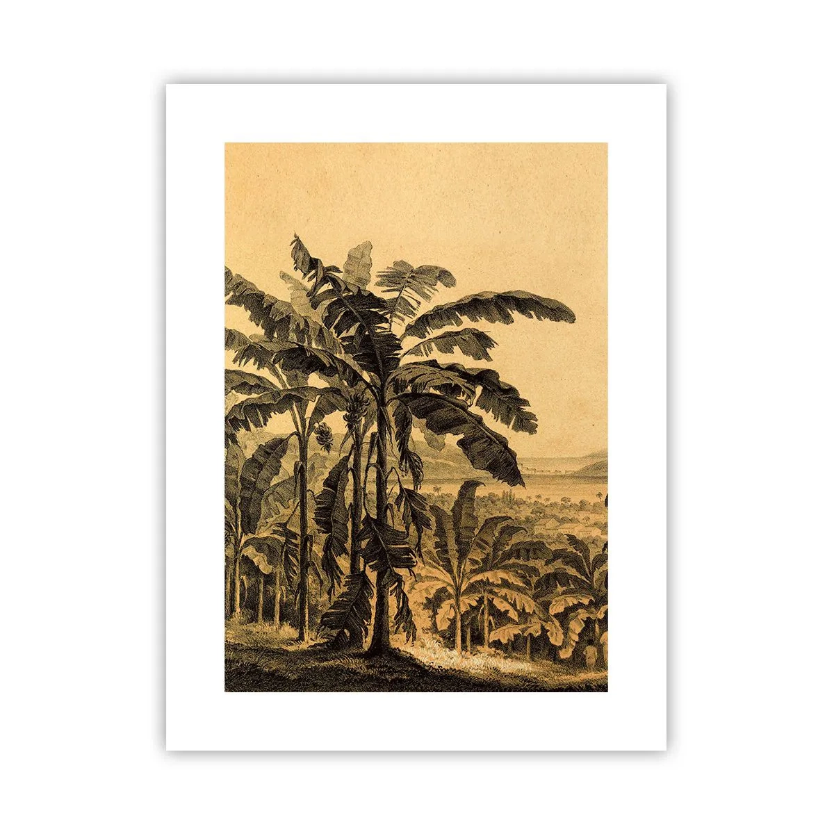 Poster - in einem kolonialen Klima - 30x40 cm