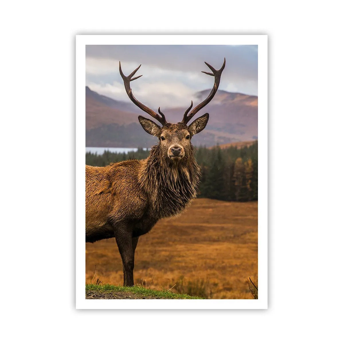 Poster - Die Majestät der Natur - 70x100 cm