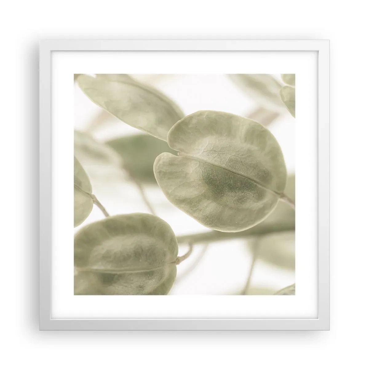 Poster in einem weißen Rahmen - Am Anfang waren Blätter... - 40x40 cm