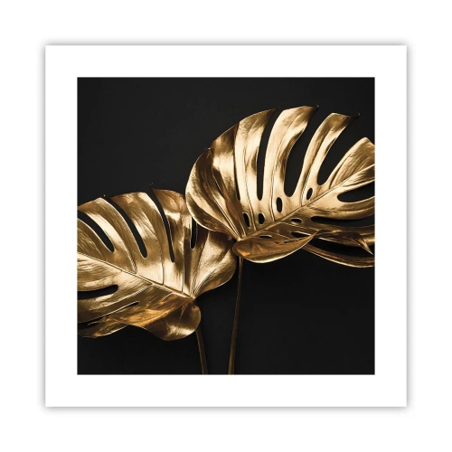 Poster - Die Schätze der Natur - 40x40 cm