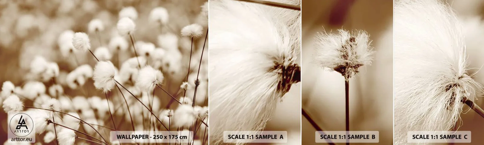 Fototapeten Muster Selbstklebend Deluxe Sticker - Flauschiges Kornfeld - Baumwollblume, Blume, Baumwollzweig - 100x30 cm