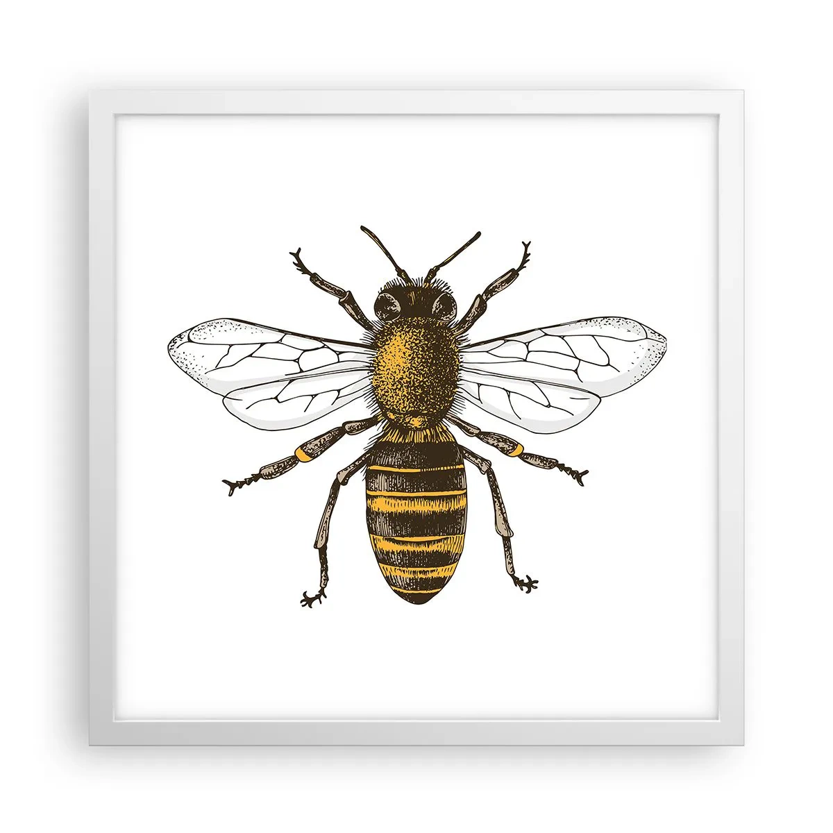 Poster in einem weißen Rahmen - Schön und gut - 40x40 cm