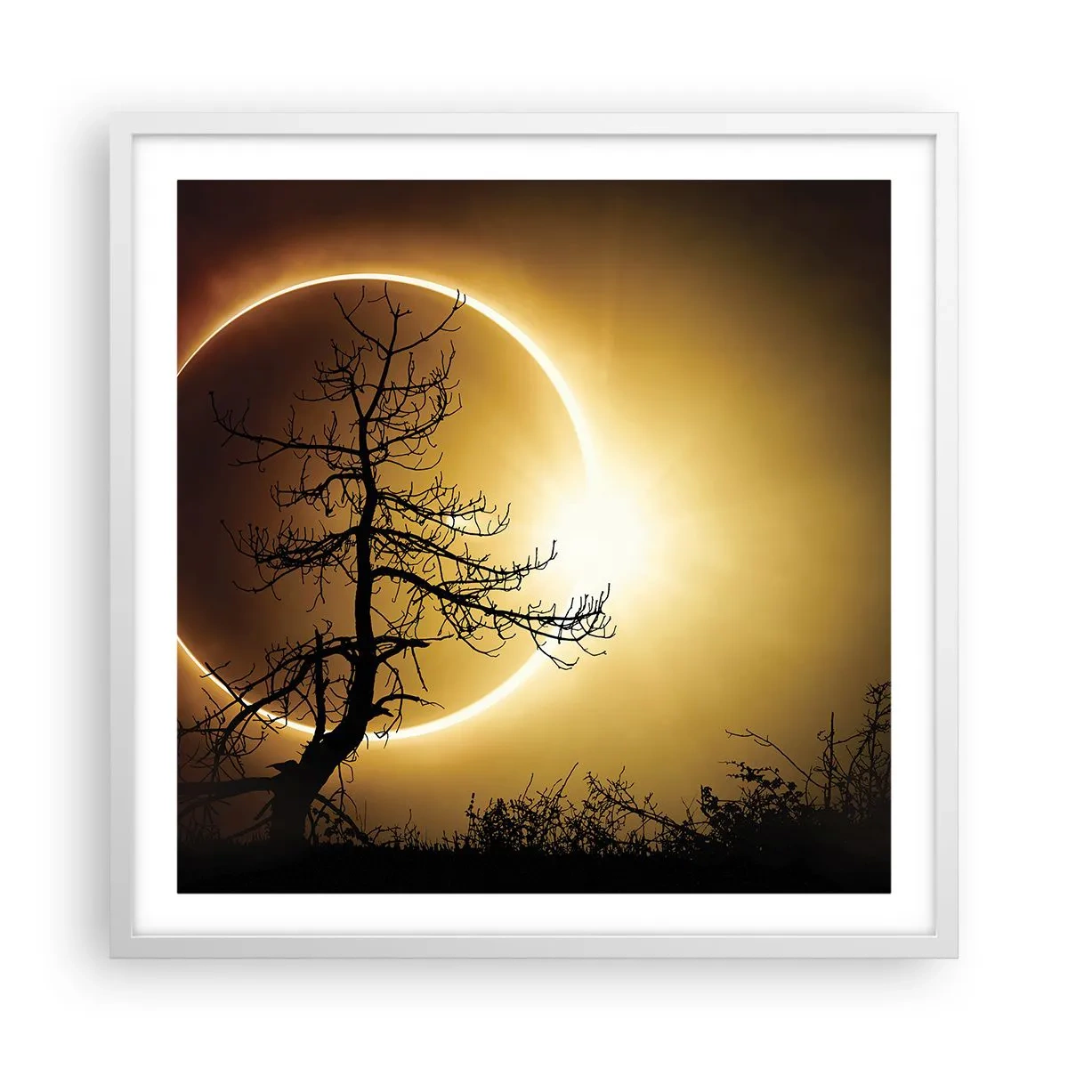 Poster in einem weißen Rahmen - Totale Finsternis - 60x60 cm
