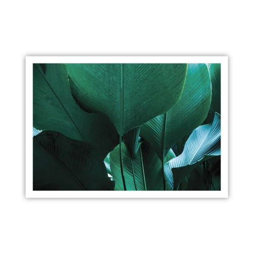 Poster - Grüne Blätter in minimalistischer Komposition - 100x70cm - Dem Licht zugewandt - Moderne Wanddekoration für Wohnzimmer und Schlafzimmer ARTTOR