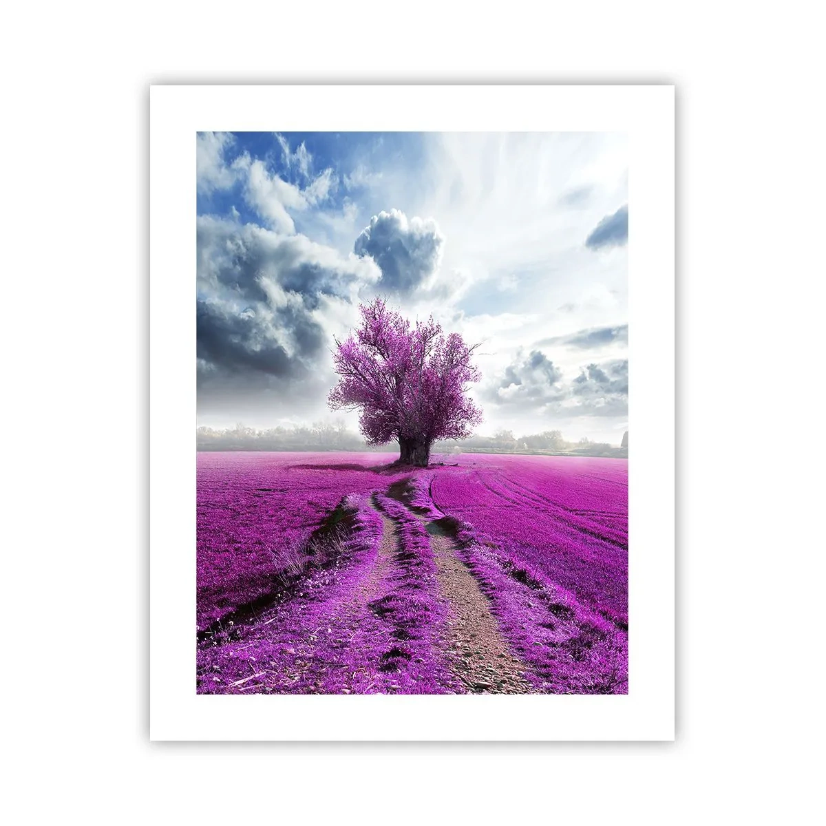 Poster - Heide - Wildnis - 40x50 cm