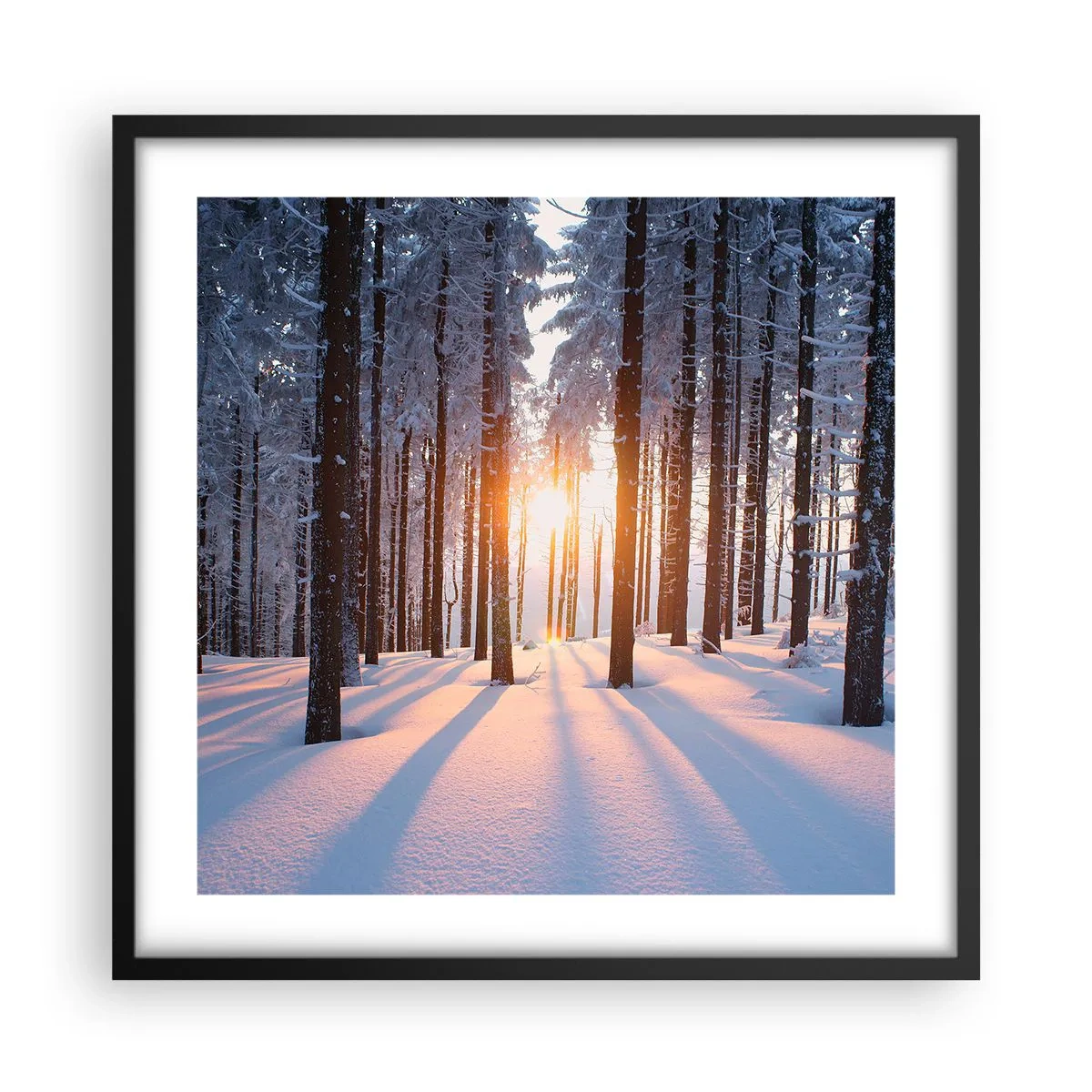 Poster in einem schwarzem Rahmen - Ganz klar schwarz auf weiß - 50x50 cm