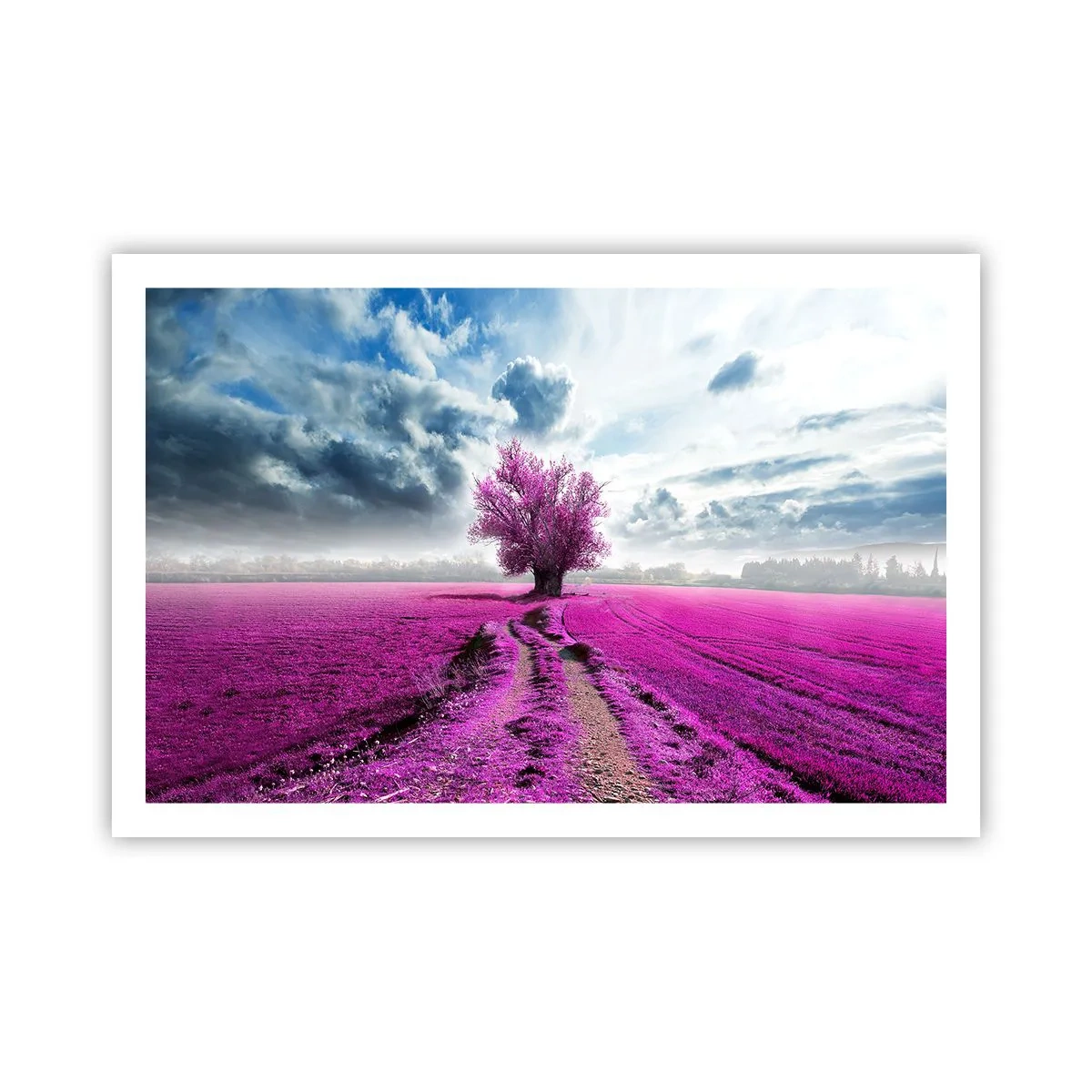 Poster - Heide - Wildnis - 91x61 cm