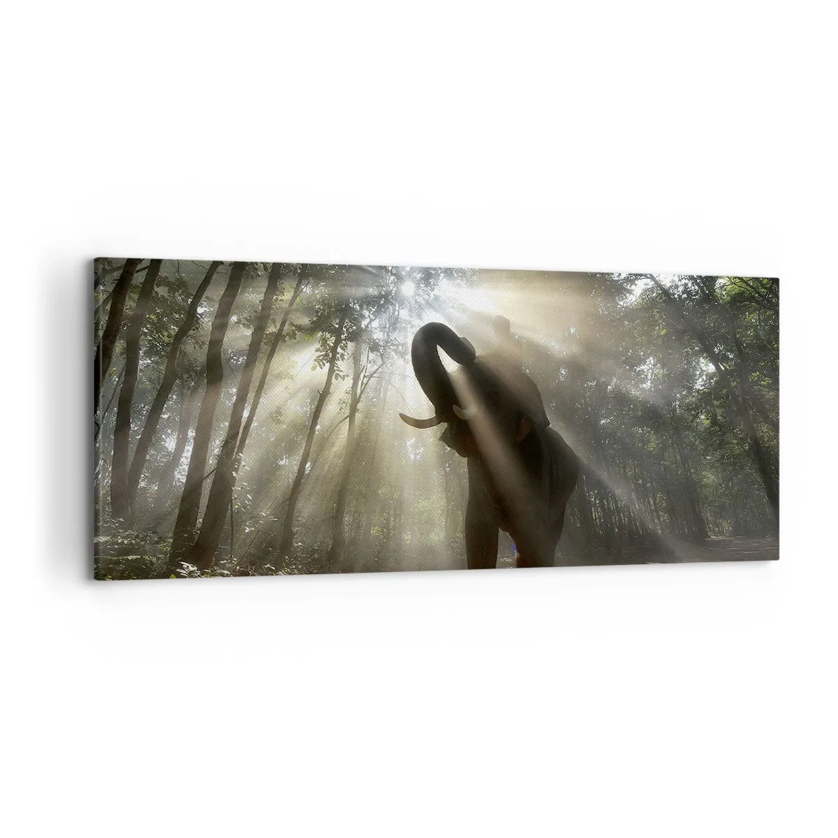 Bild auf Leinwand - Leinwandbild - Ein Elefant im Wald, umgeben von Lichtstrahlen im Morgennebel - 120x50cm - Unter dem Glücksstern - Moderne Wanddekoration für Wohnzimmer und Schlafzimmer ARTTOR