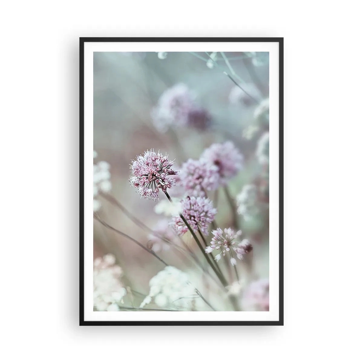 Poster in einem schwarzem Rahmen - Süße filigrane Kräuter - 70x100 cm