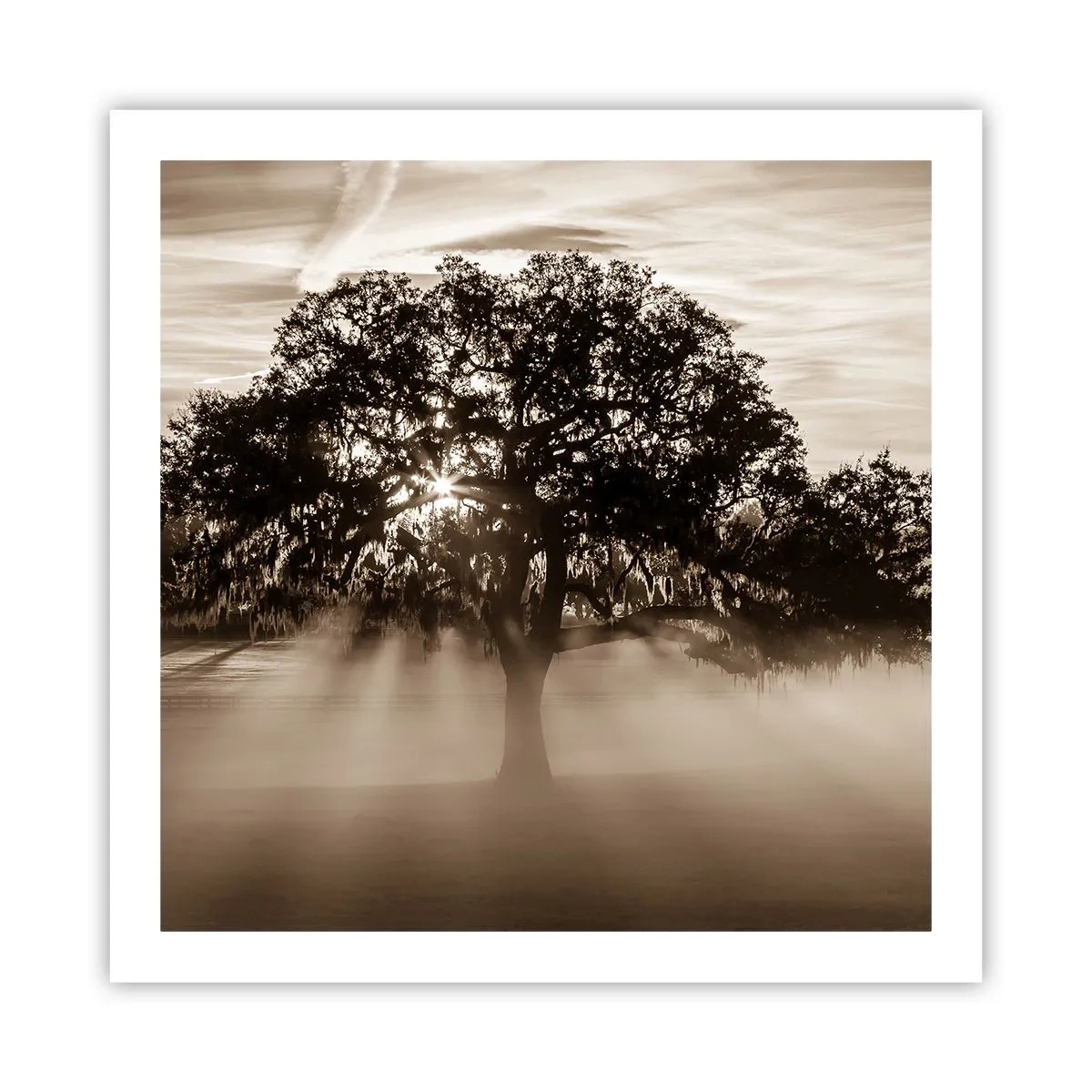 Poster - Baum der guten Nachrichten - 60x60 cm