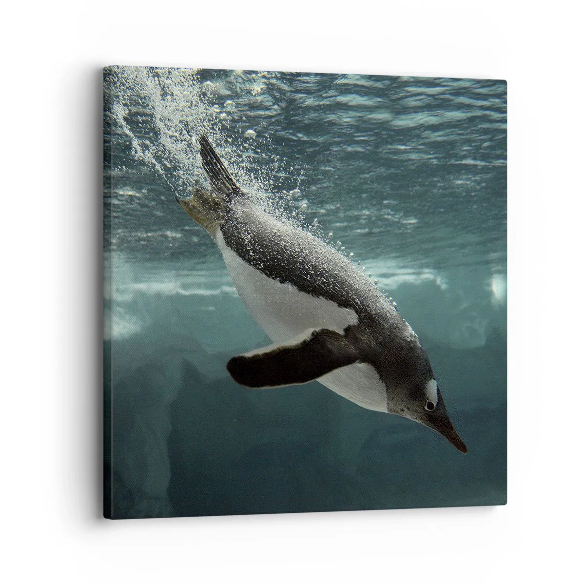 Bild auf Leinwand - Leinwandbild - Willkommen in meiner Welt - 30x30 cm