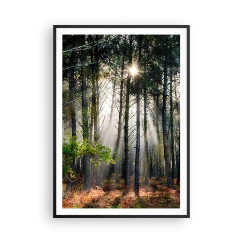 Poster in einem schwarzem Rahmen - Waldgebiet - 70x100 cm