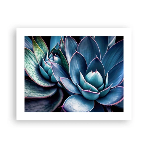 Poster - Lebenskraft - 50x40 cm