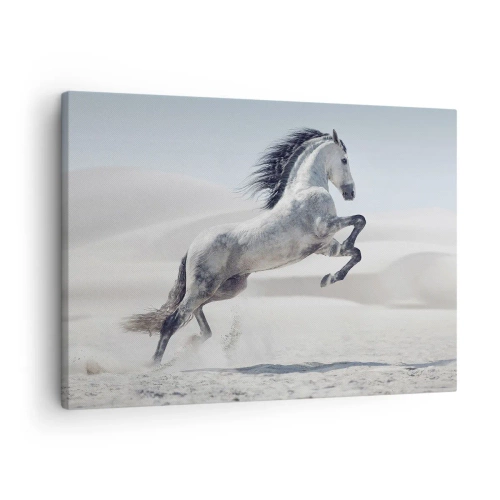 Bild auf Leinwand - Leinwandbild - Ein weißes Pferd galoppiert vor der Kulisse der Wüstendünen - 70x50cm - Arabischer Prinz - Moderne Wanddekoration für Wohnzimmer und Schlafzimmer ARTTOR