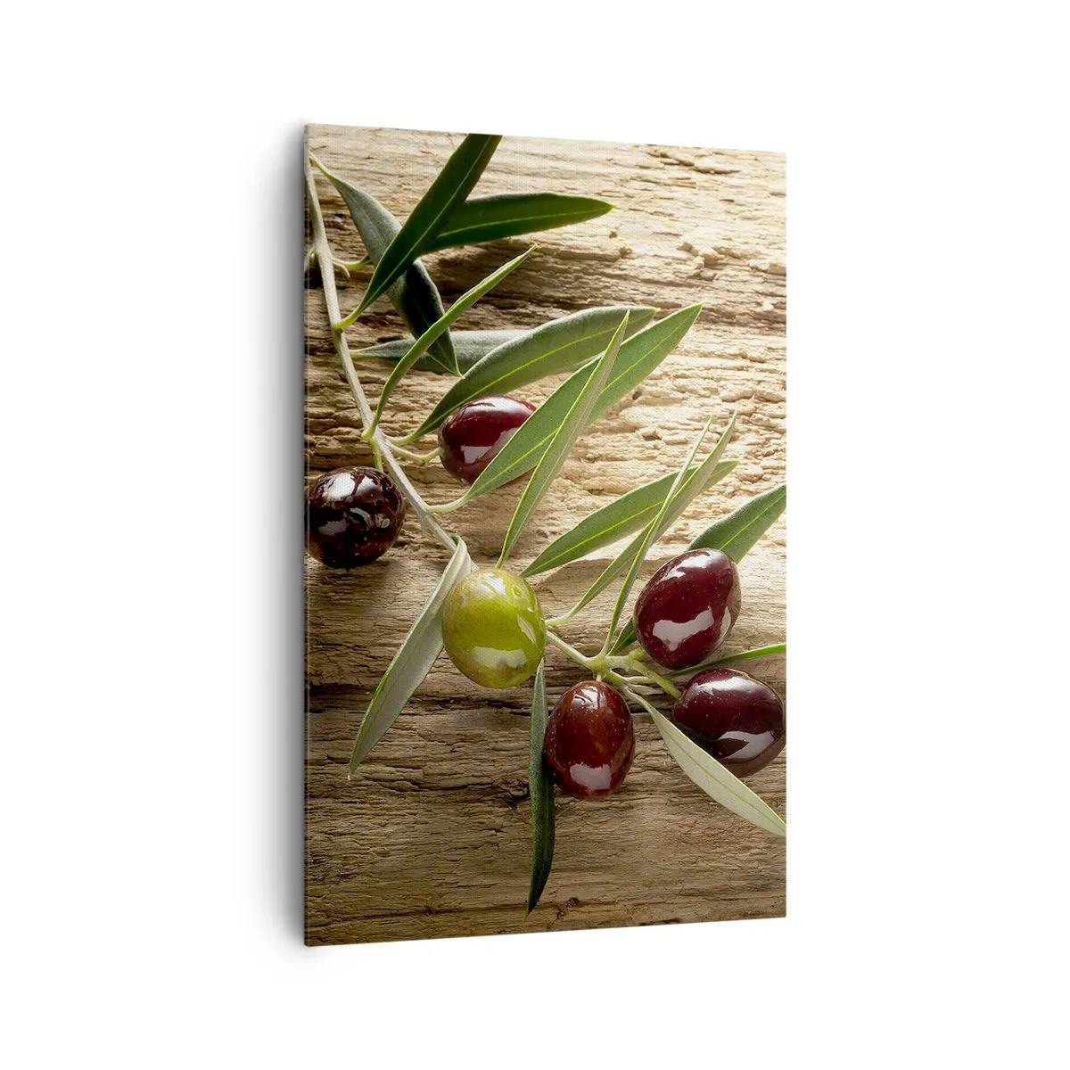 Bild auf Leinwand - Leinwandbild - Olivenzweig mit Früchten auf einem Hintergrund aus gealtertem Holz - 80x120cm - Direkt aus der Natur - Moderne Wanddekoration für Wohnzimmer und Schlafzimmer ARTTOR