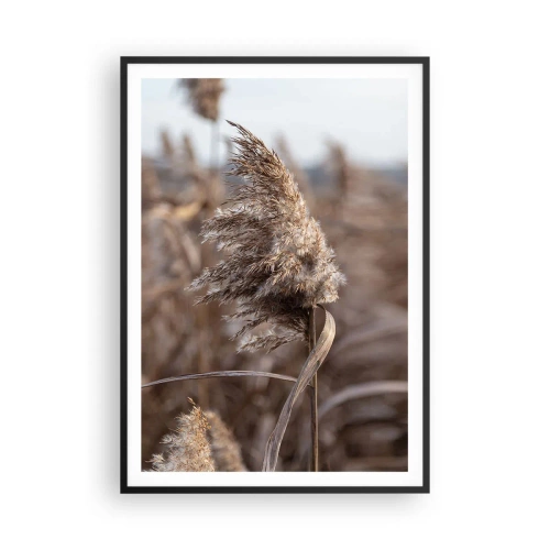 Poster in einem schwarzem Rahmen - Zeit, mit dem Wind zu gehen - 70x100 cm