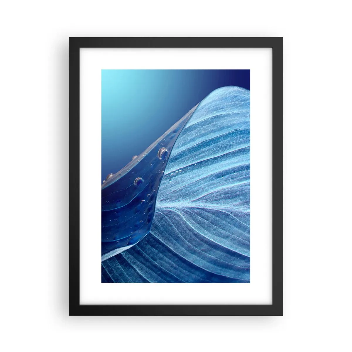 Poster in einem schwarzem Rahmen - Versteckte Tropfen vom Blau - 30x40 cm