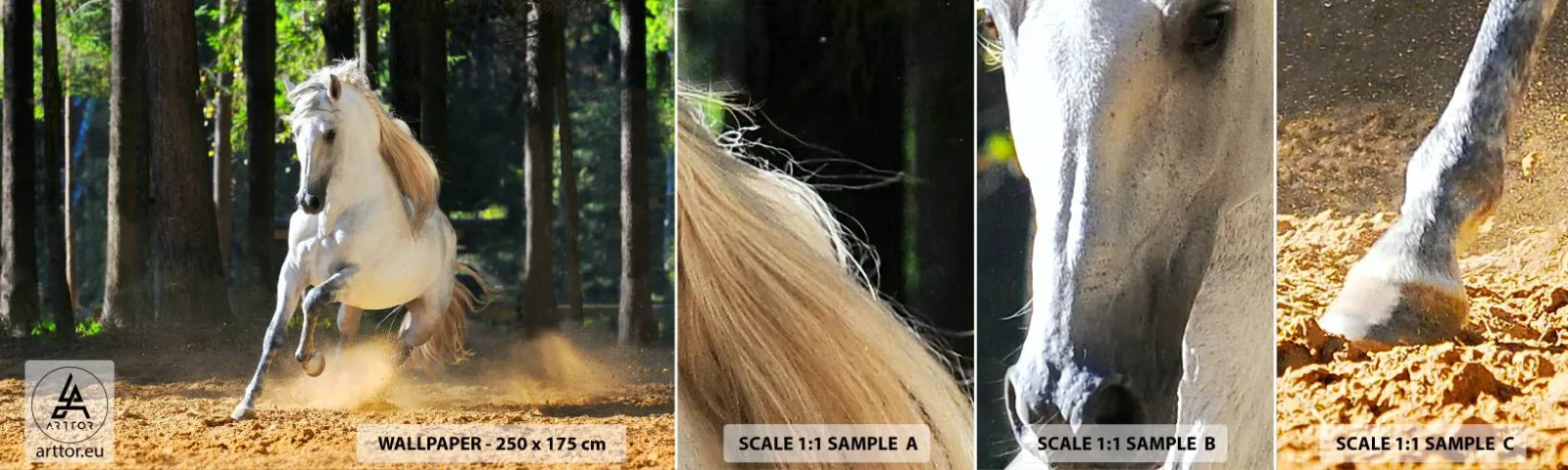 Fototapetenmuster Standard Eco - Wie aus einem Fantasy-Roman - Tiere, Pferd, Landschaft - 100x30 cm