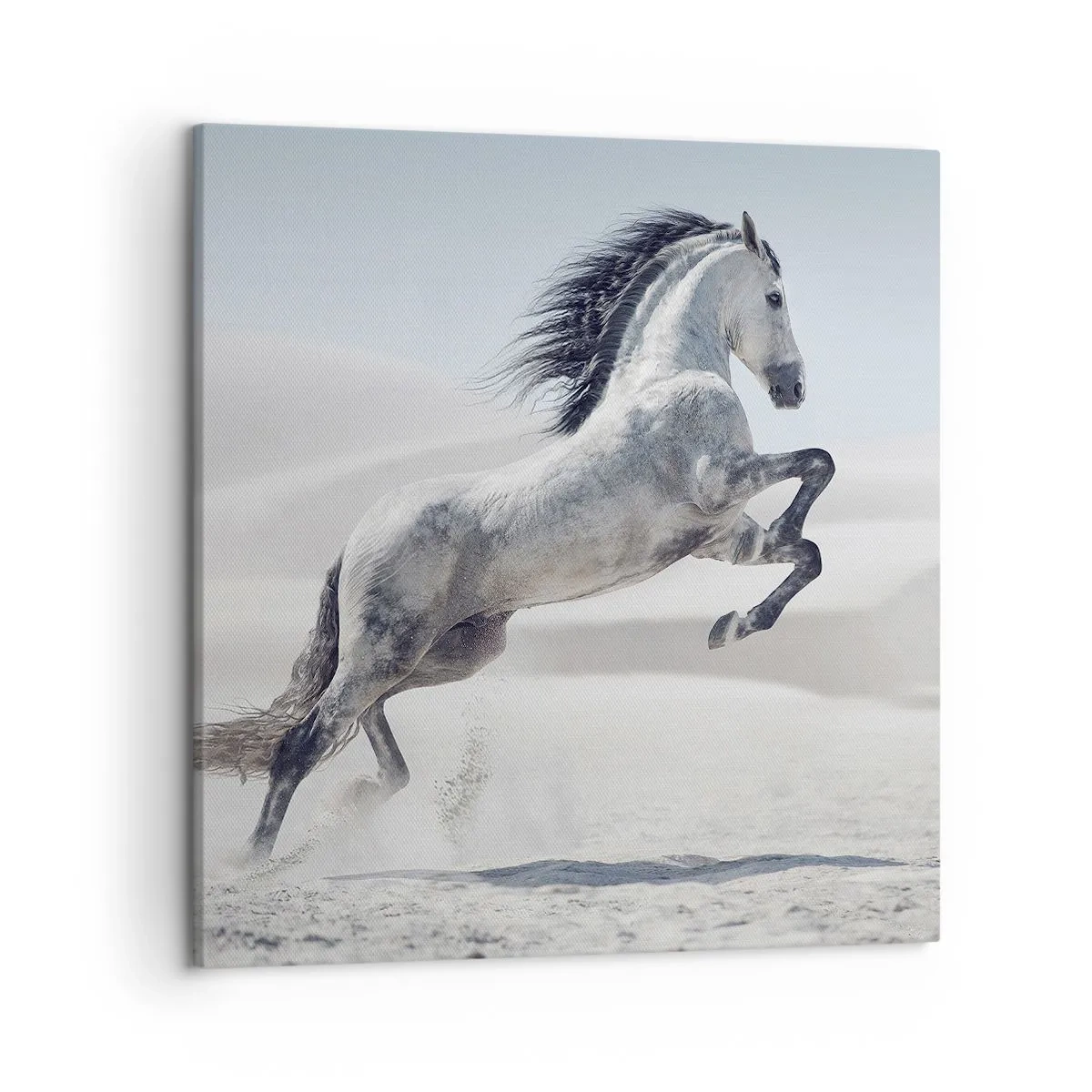 Bild auf Leinwand - Leinwandbild - Arabischer Prinz - 50x50 cm