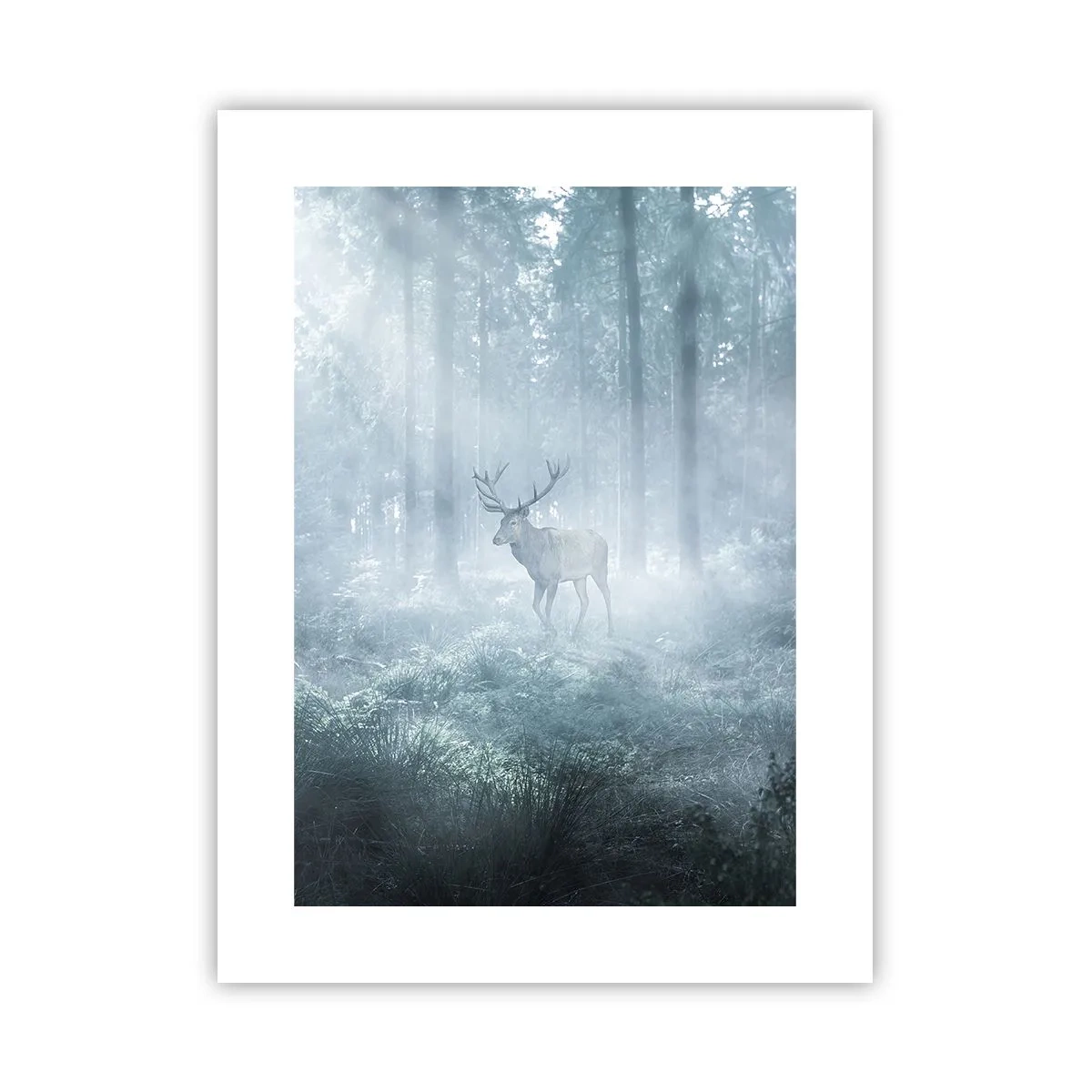 Poster - Morgenvisite auf dem Grundstück - 30x40 cm