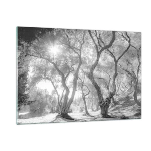 Glasbild - Bild auf glas - Schwarz-weiße Olivenbäume im Sonnenlicht - 120x80cm - Im Olivenhain - Moderne Wanddekoration für Wohnzimmer und Schlafzimmer ARTTOR