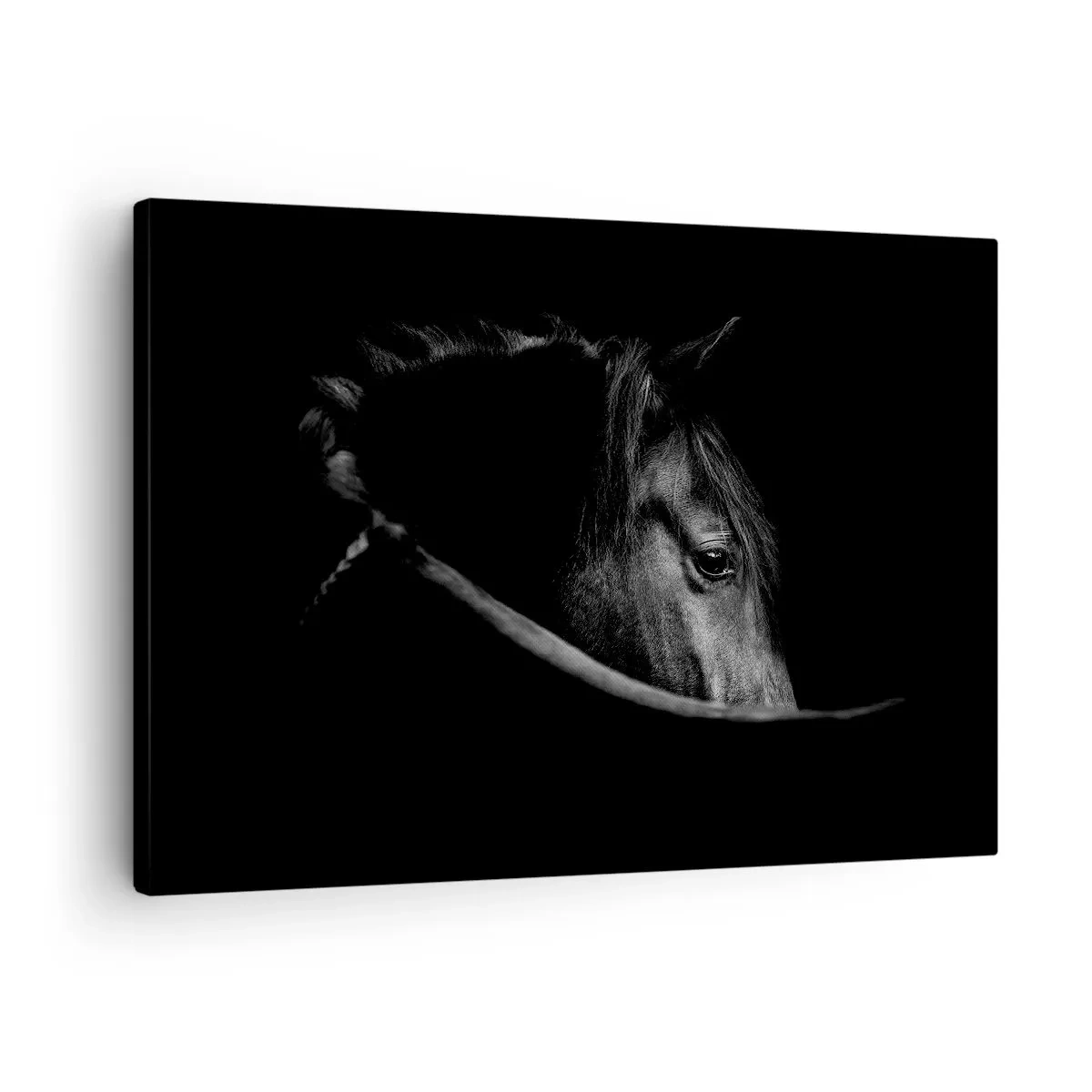 Bild auf Leinwand - Leinwandbild - Ein Schwarz-Weiß-Porträt eines Pferdes mit einem subtilen Spiel aus Licht und Schatten vor dunklem Hintergrund. - 70x50cm - Schwarzer Prinz - Moderne Wanddekoration für Wohnzimmer und Schlafzimmer ARTTOR
