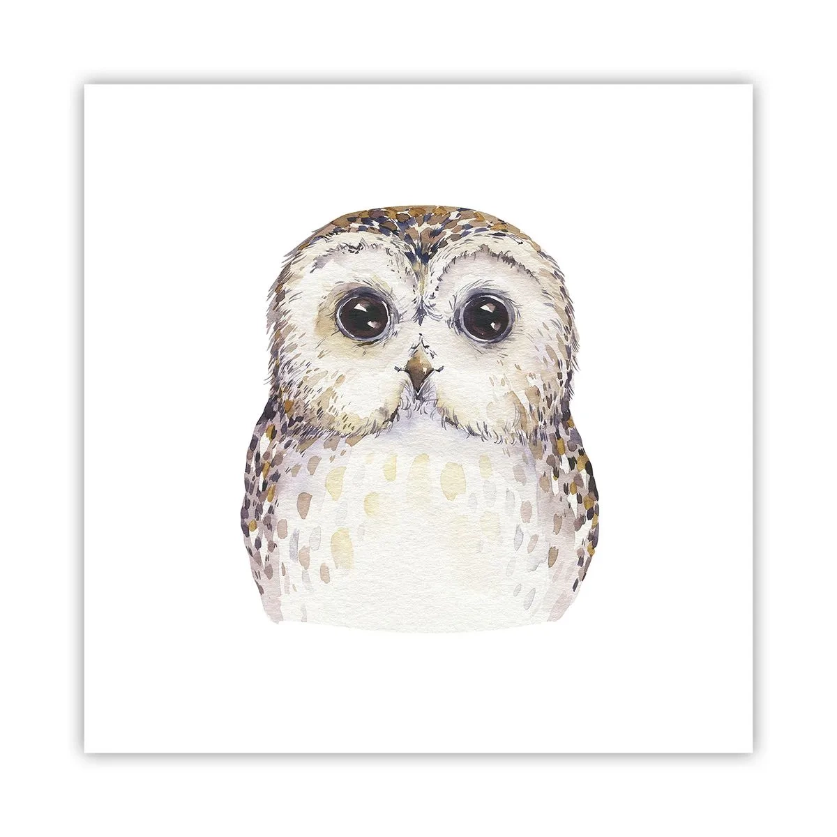 Poster - Schau mir in die Augen - 40x40 cm